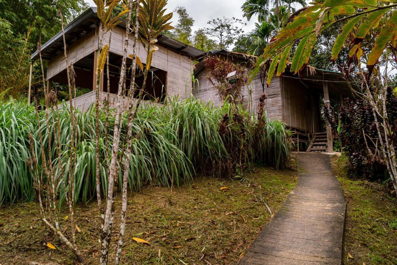 Rain Forest Inn Ringlet Dış mekan fotoğraf