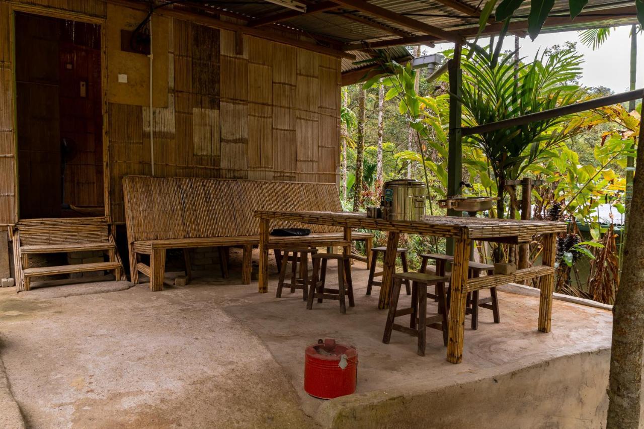 Rain Forest Inn Ringlet Dış mekan fotoğraf
