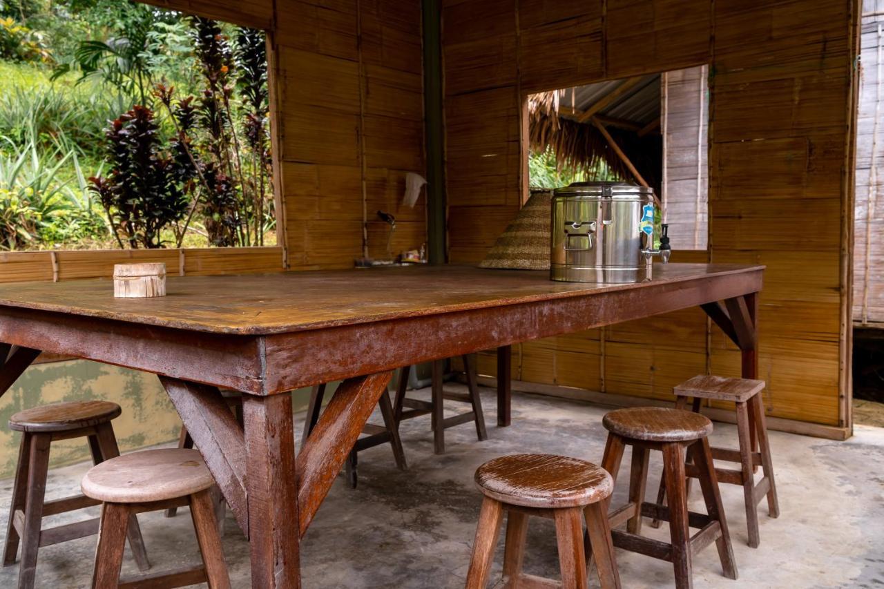 Rain Forest Inn Ringlet Dış mekan fotoğraf