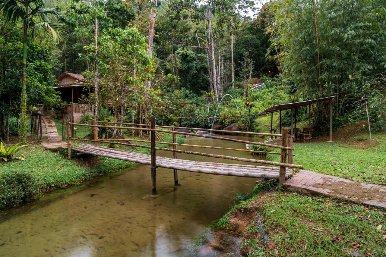 Rain Forest Inn Ringlet Dış mekan fotoğraf