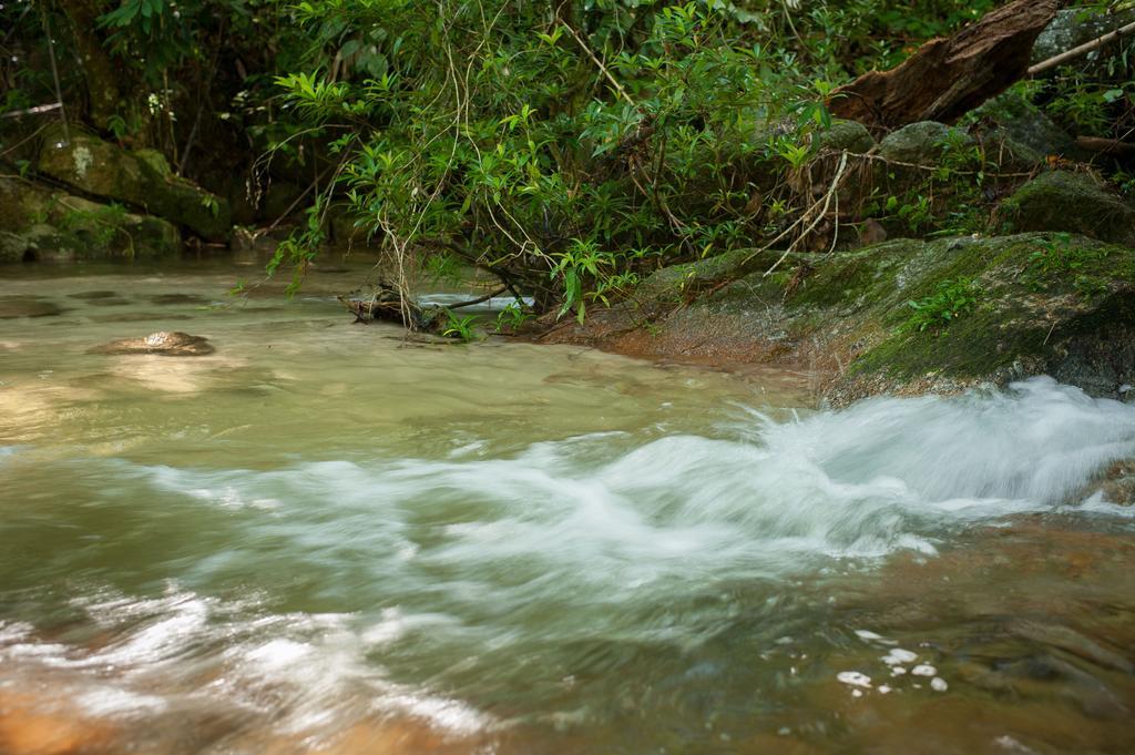 Rain Forest Inn Ringlet Dış mekan fotoğraf
