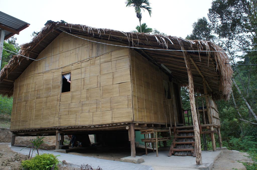 Rain Forest Inn Ringlet Dış mekan fotoğraf