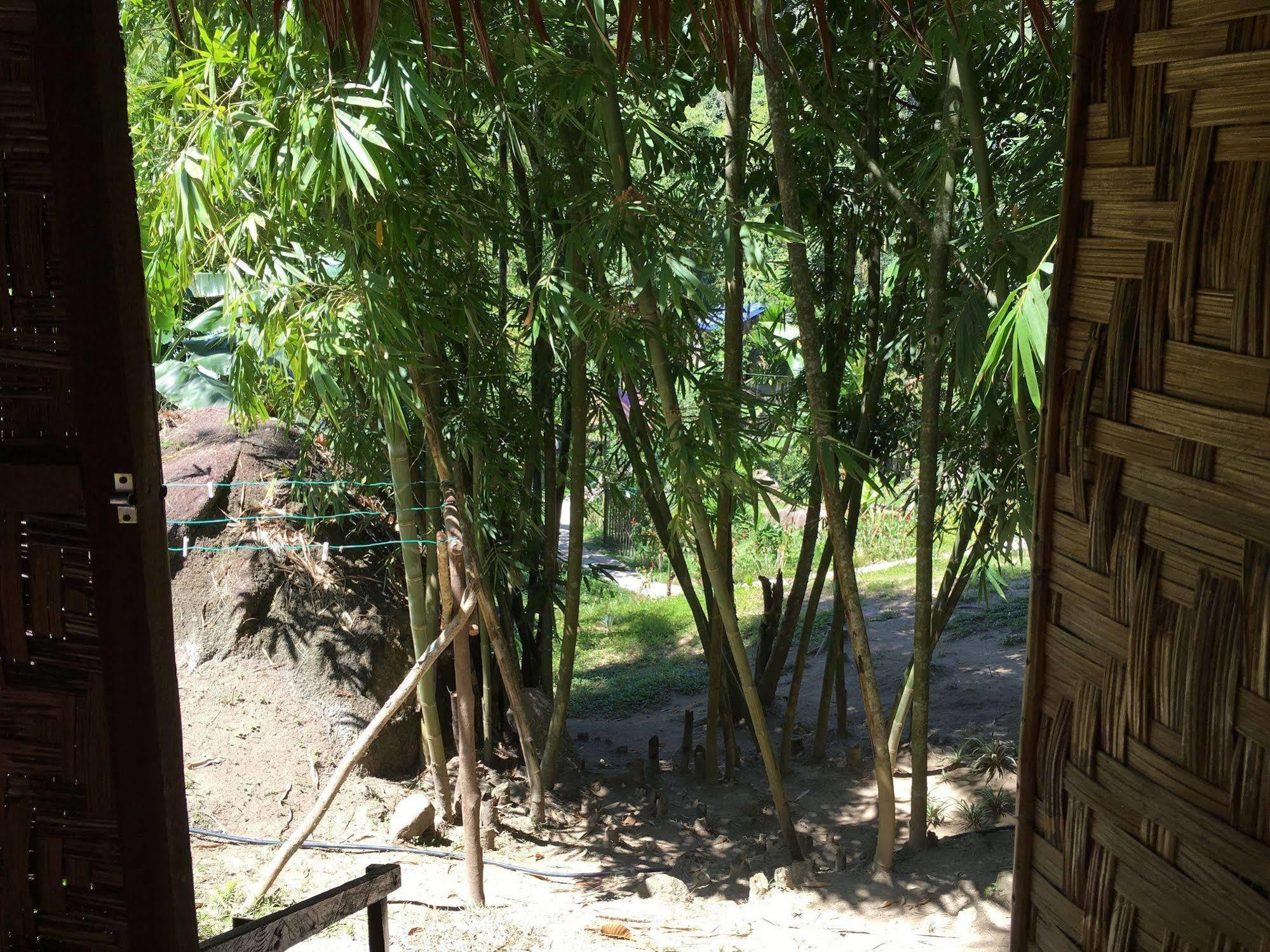 Rain Forest Inn Ringlet Dış mekan fotoğraf
